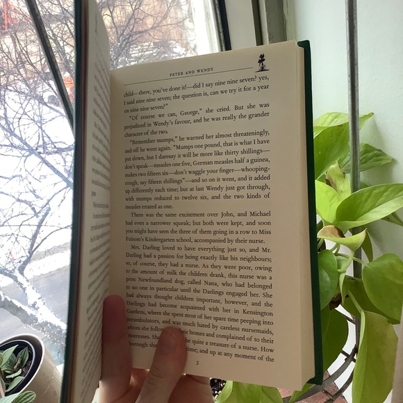 🎉HP🎉Peter Pan Book Novel (English) - Picture 5 of 10